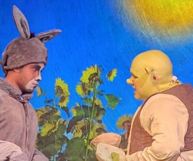 Review-SHREK-THE-MUSICAL-at-The-Pocket-Community-Theatre-1755369566